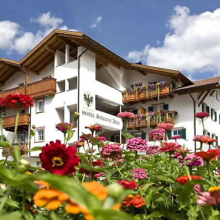 Schwarzer Adler-3